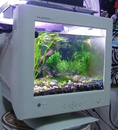[TOMT][SOFTWARE][2000s] Old Fish Aquarium computer .